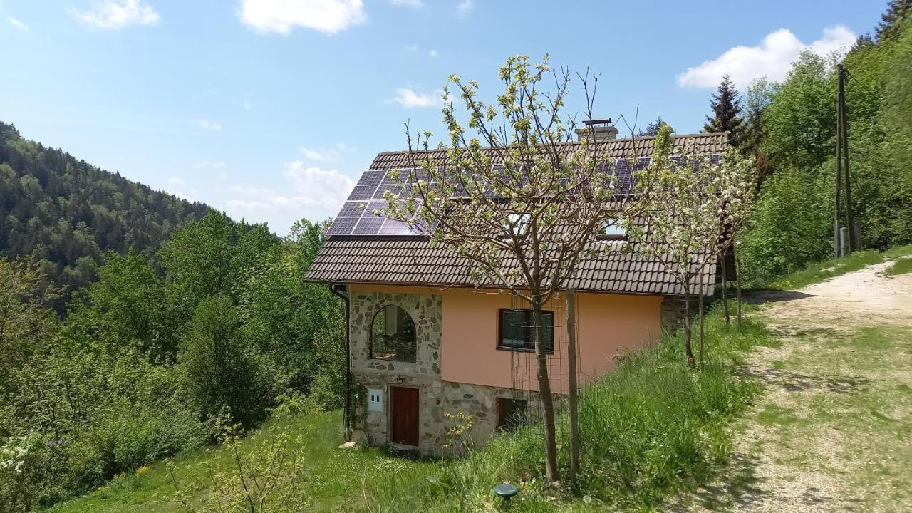 Country House & Spa Mislinja Exterior photo