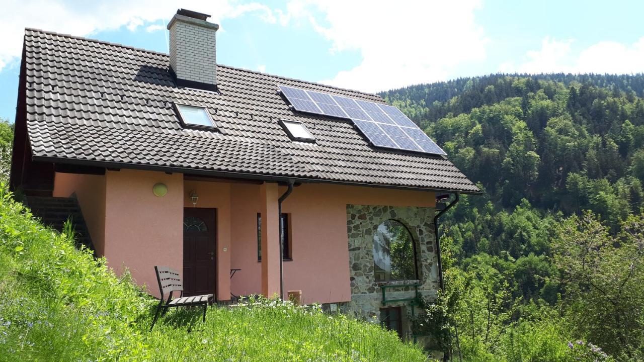Country House & Spa Mislinja Exterior photo