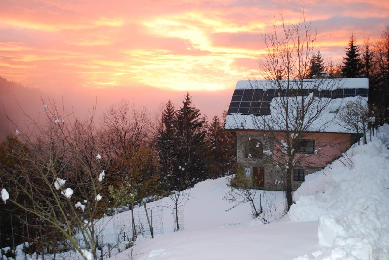 Country House & Spa Mislinja Exterior photo