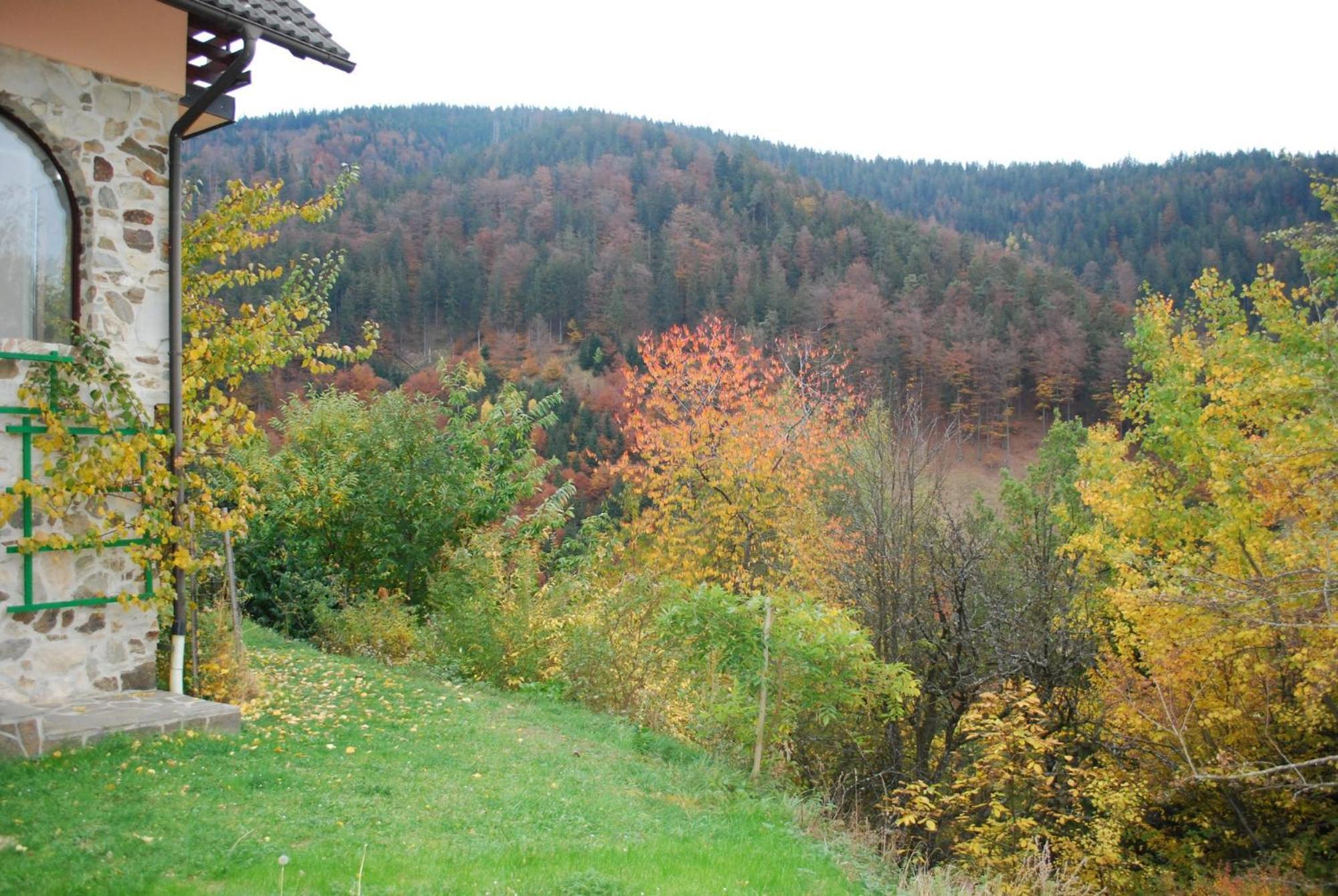 Country House & Spa Mislinja Exterior photo